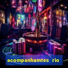 acompanhamtes rio de janeiro